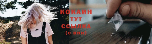 соль ск Краснослободск