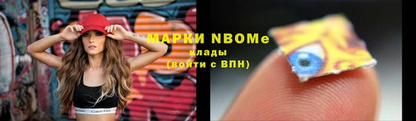 соль ск Краснослободск