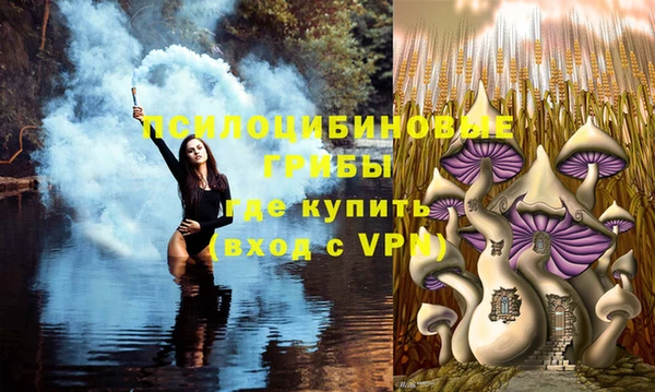 соль ск Краснослободск