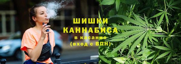 соль ск Краснослободск