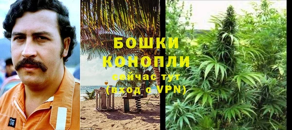 дурь Краснотурьинск