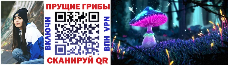 Галлюциногенные грибы GOLDEN TEACHER  Купить закладки  Ельня 